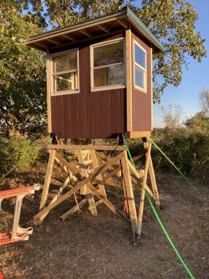 IMG_3994.jpeg IMG_3994.jpeg