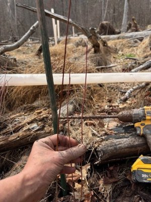 IMG_3626.jpeg IMG_3626.jpeg