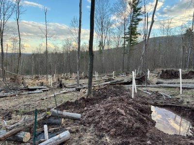 IMG_3632.jpeg IMG_3632.jpeg