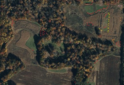 current producers.jpg