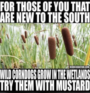 1777658567979.png