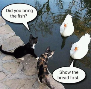 1777661865833.png