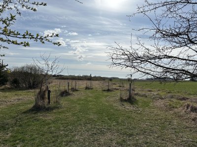 IMG_2162.jpeg