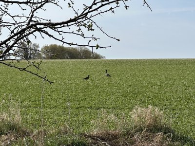 IMG_2164.jpeg