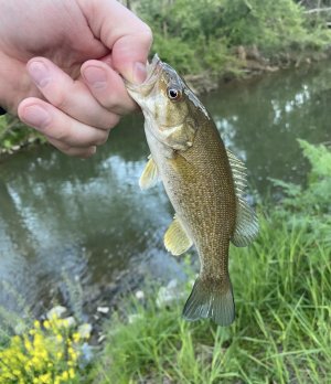 IMG_7552.jpeg