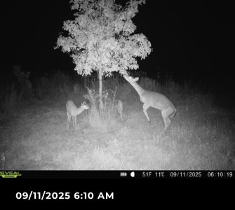 IMG_0871.jpeg