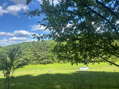 IMG_2534.jpeg