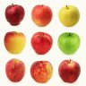 AppyHappy
