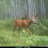 Black River Food Plots