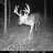 Trophy Acres