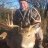 Trapper330
